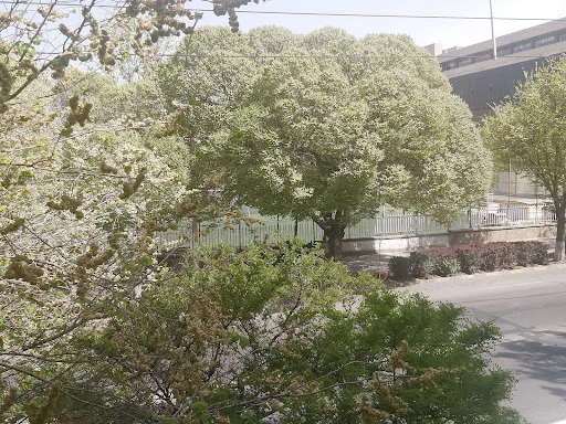 باشگاه ورزشی صداوسیما - مجموعه ورزشی در تبریز