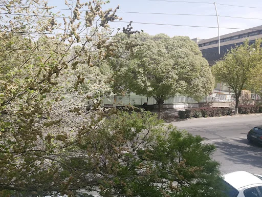 باشگاه ورزشی صداوسیما - مجموعه ورزشی در تبریز