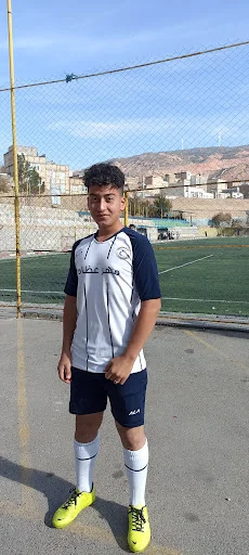 زمین چمن فوتبال پاس - زمین فوتبال در تبریز