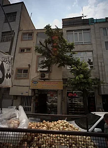 خدمات کامپیوتر کیمیا