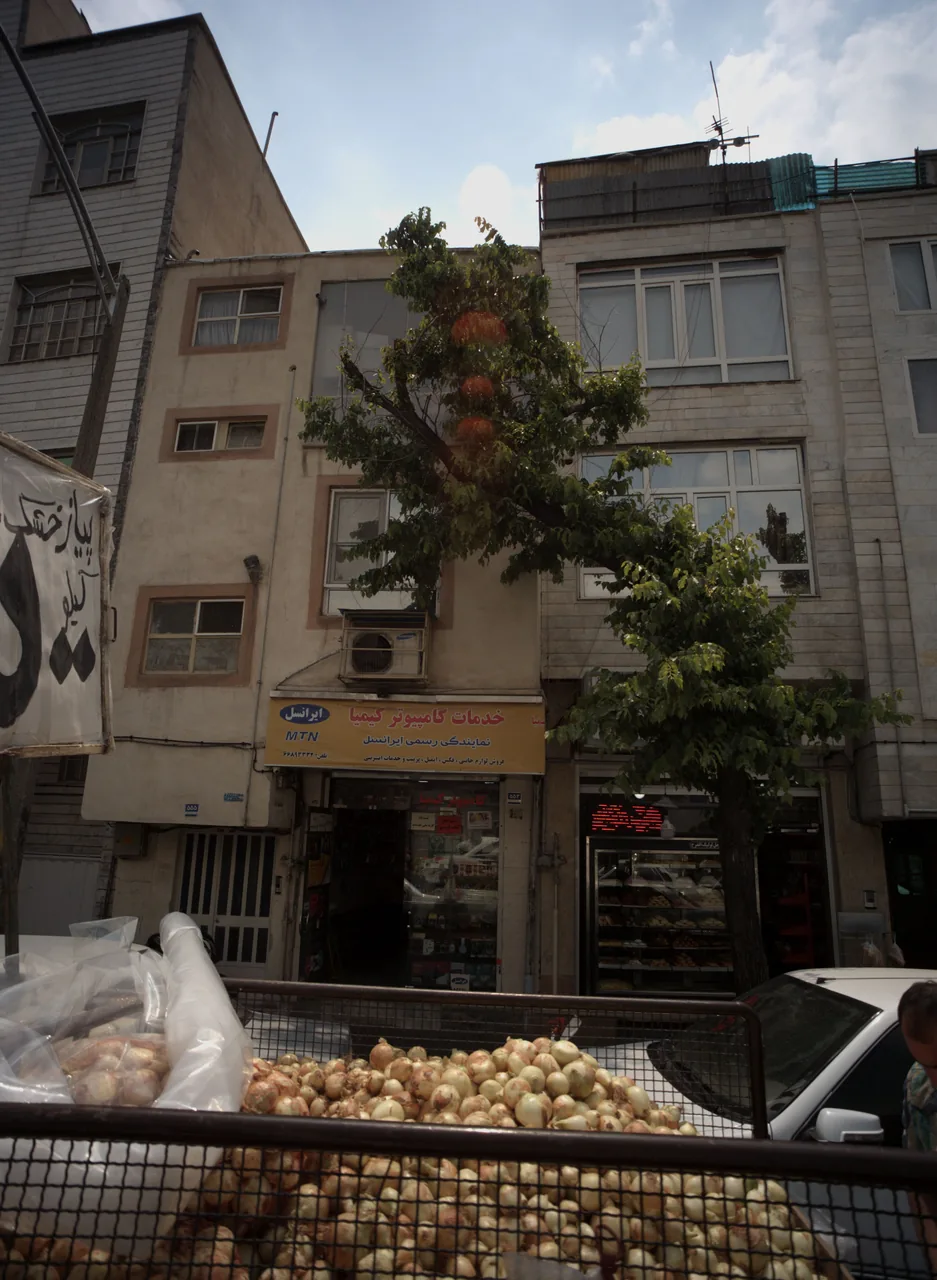 خدمات کامپیوتر کیمیا