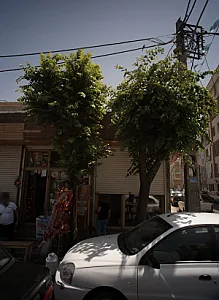 فروشگاه لوازم جانبی کامپیوتر