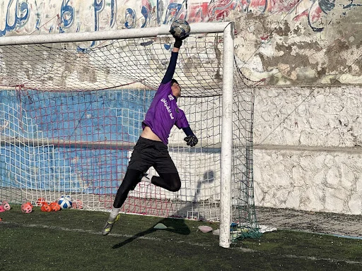 زمین چمن فوتبال دیهیم