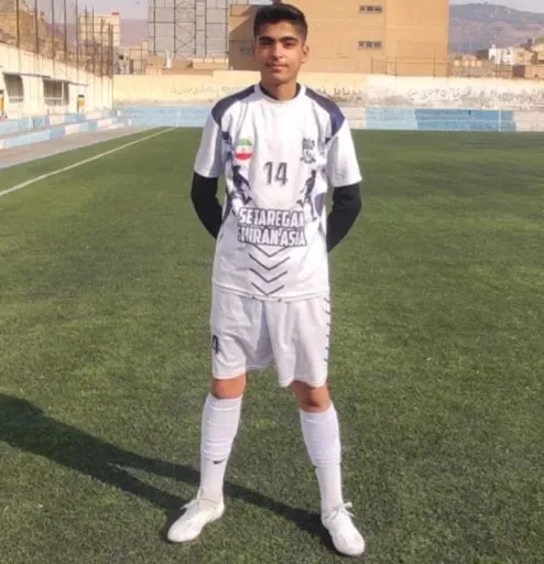 زمین چمن فوتبال دیهیم