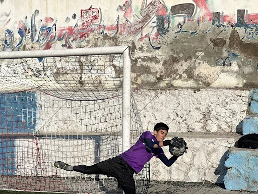 زمین چمن فوتبال دیهیم