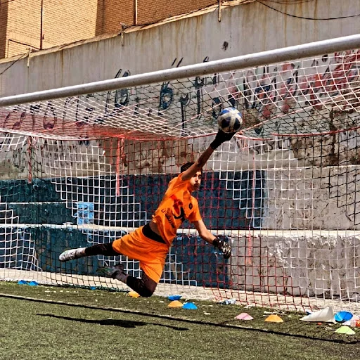 زمین چمن فوتبال دیهیم