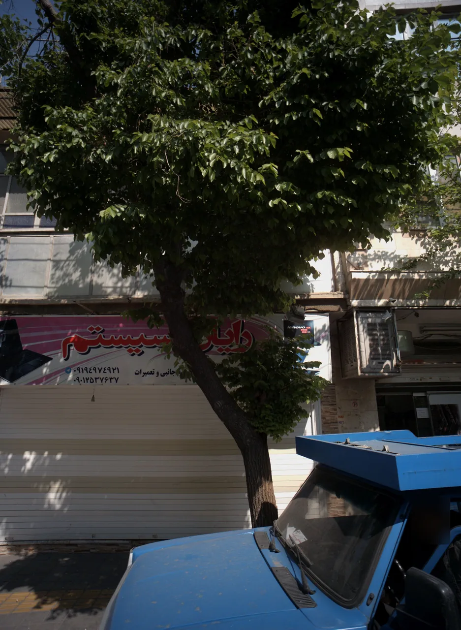 رایان سیستم