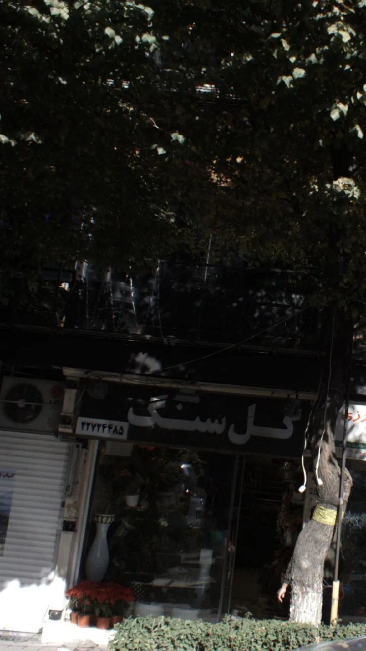 سوپرمارکت گل‌سنگ
