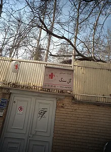 کلینیک دامپزشکی گل سنگ