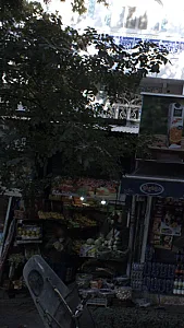سوپر میوه گل سنگ