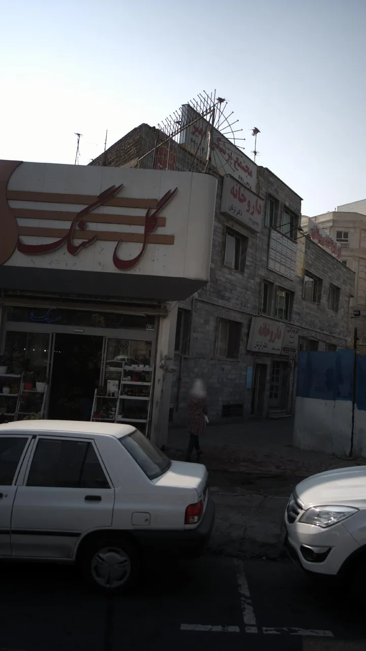 گل سنگ - تصویر 2