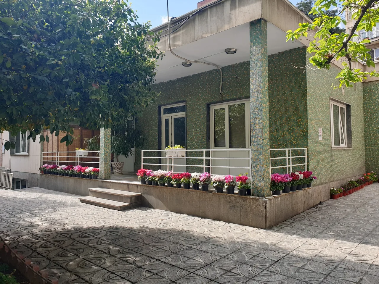 انجمن فرهنگی اتریش - تصویر 5