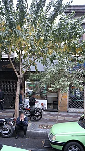 صرافی پارمیس