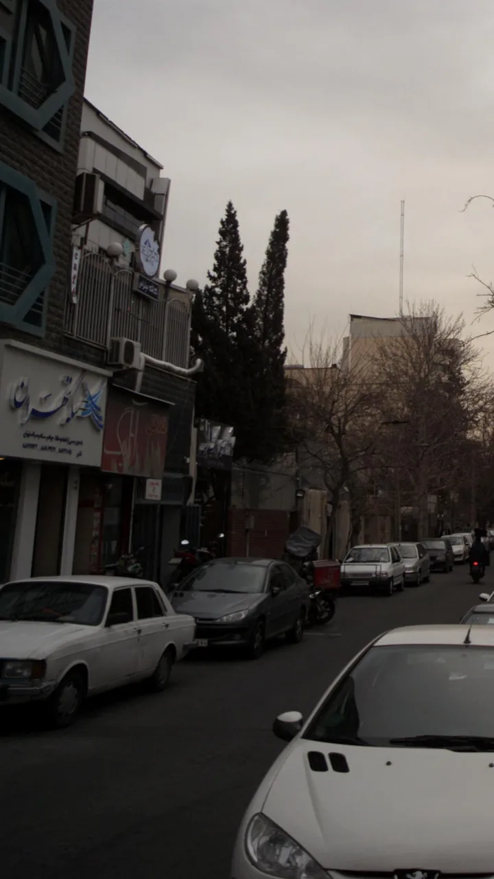 سکه تهران - تصویر 2