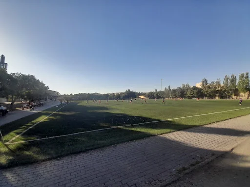 زمین چمن فوتبال استادیوم ابوذر