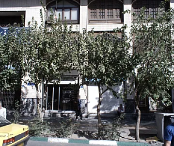 سکه شرقی