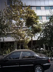 صرافی دریاییان