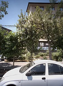 پیک رهایی
