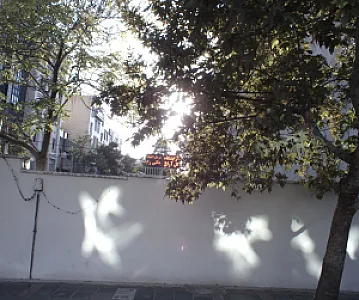 درمان اعتیاد مانی