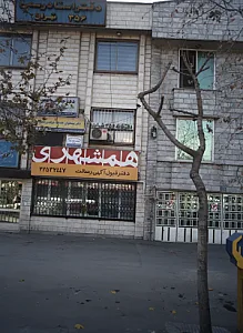 پیشتازان سلامت پایدار