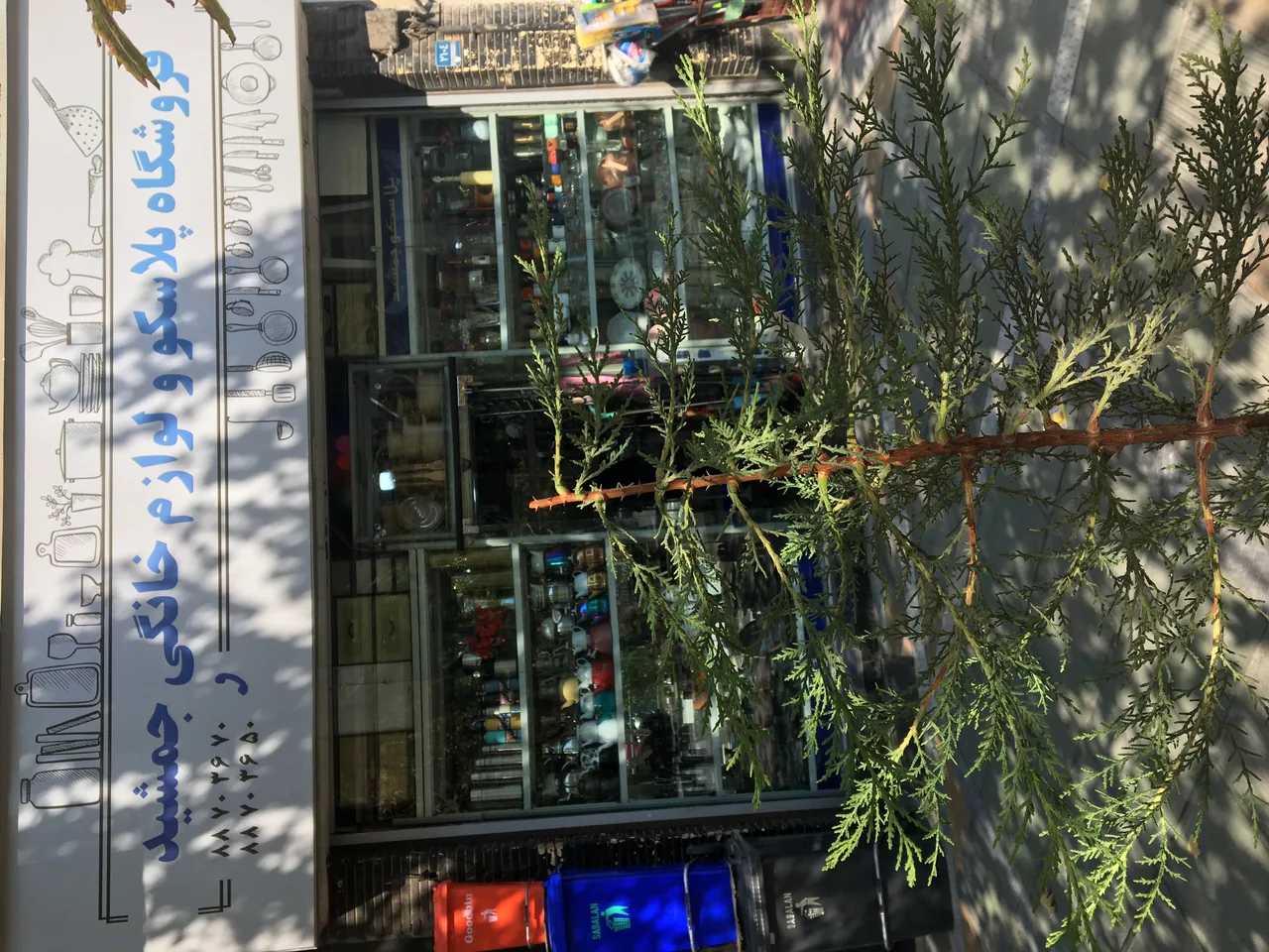 پلاسکو جمشید - تصویر 2