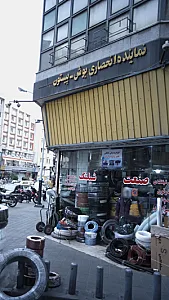 نماینده انحصاری بوش-پیستون