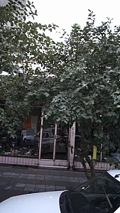 فروشگاه لوازم خانگی احمدی