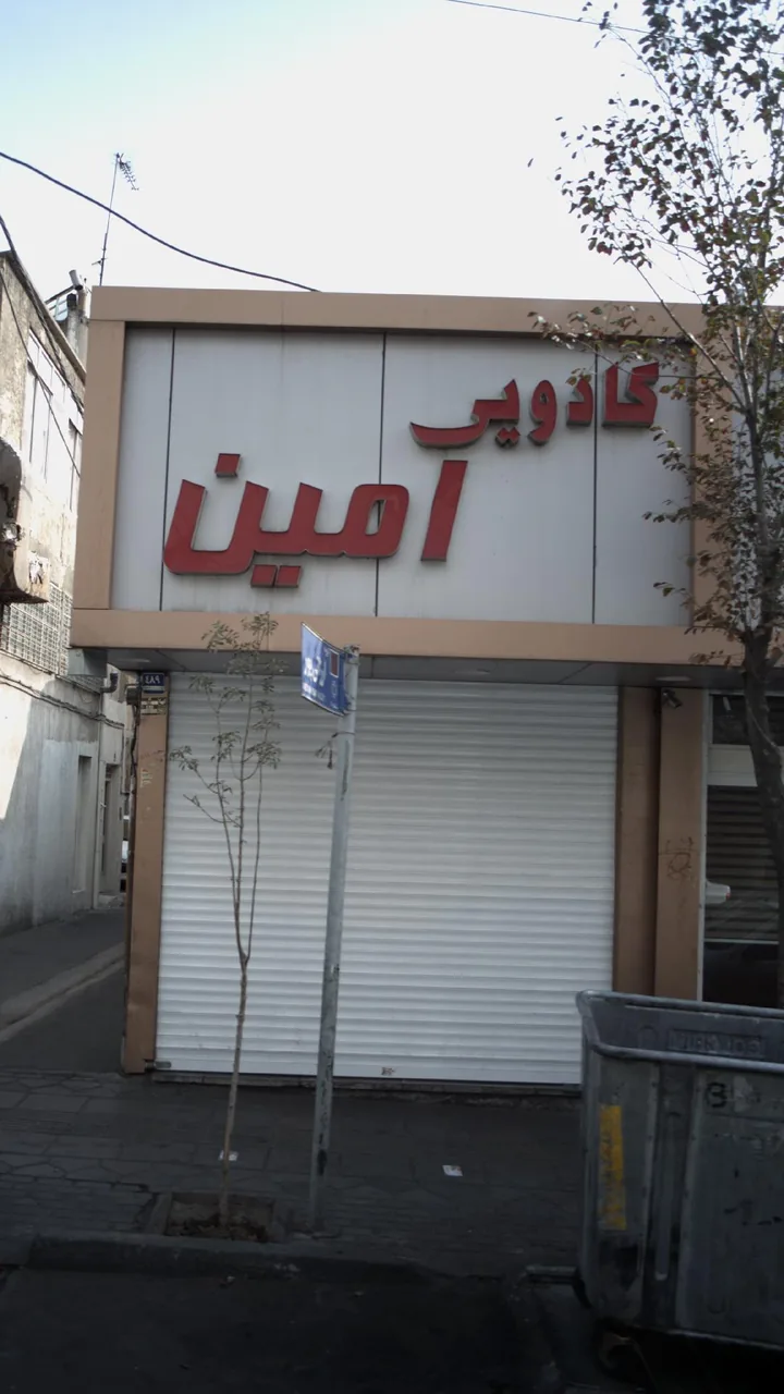 کادویی امین