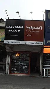 تزیینات پارک وی