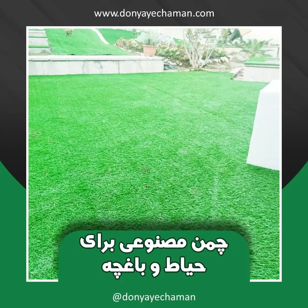 دنیای چمن - تصویر 4