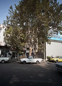 فروشگاه کامران و برادران گرگانی