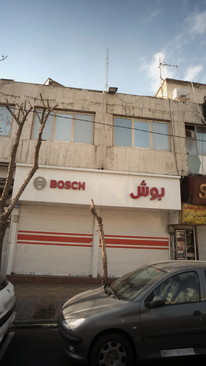 بوش