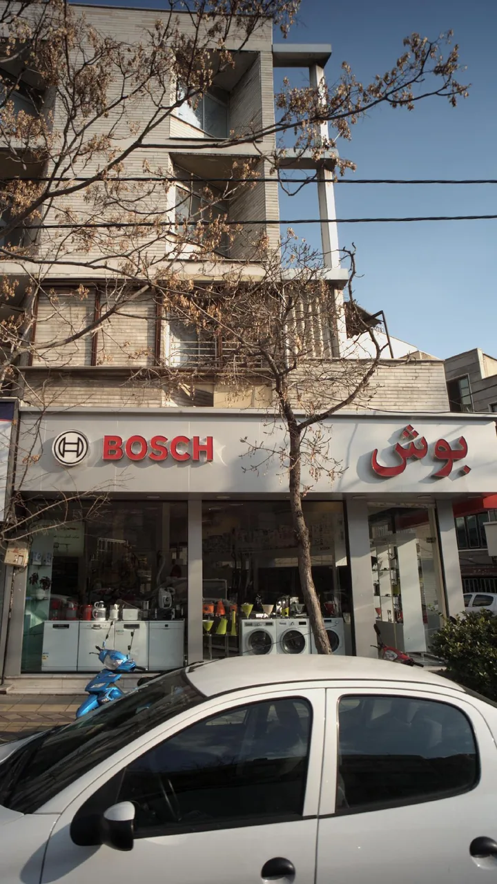 بوش - تصویر 3
