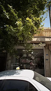 ارزان سرا کیش کالا کلبه