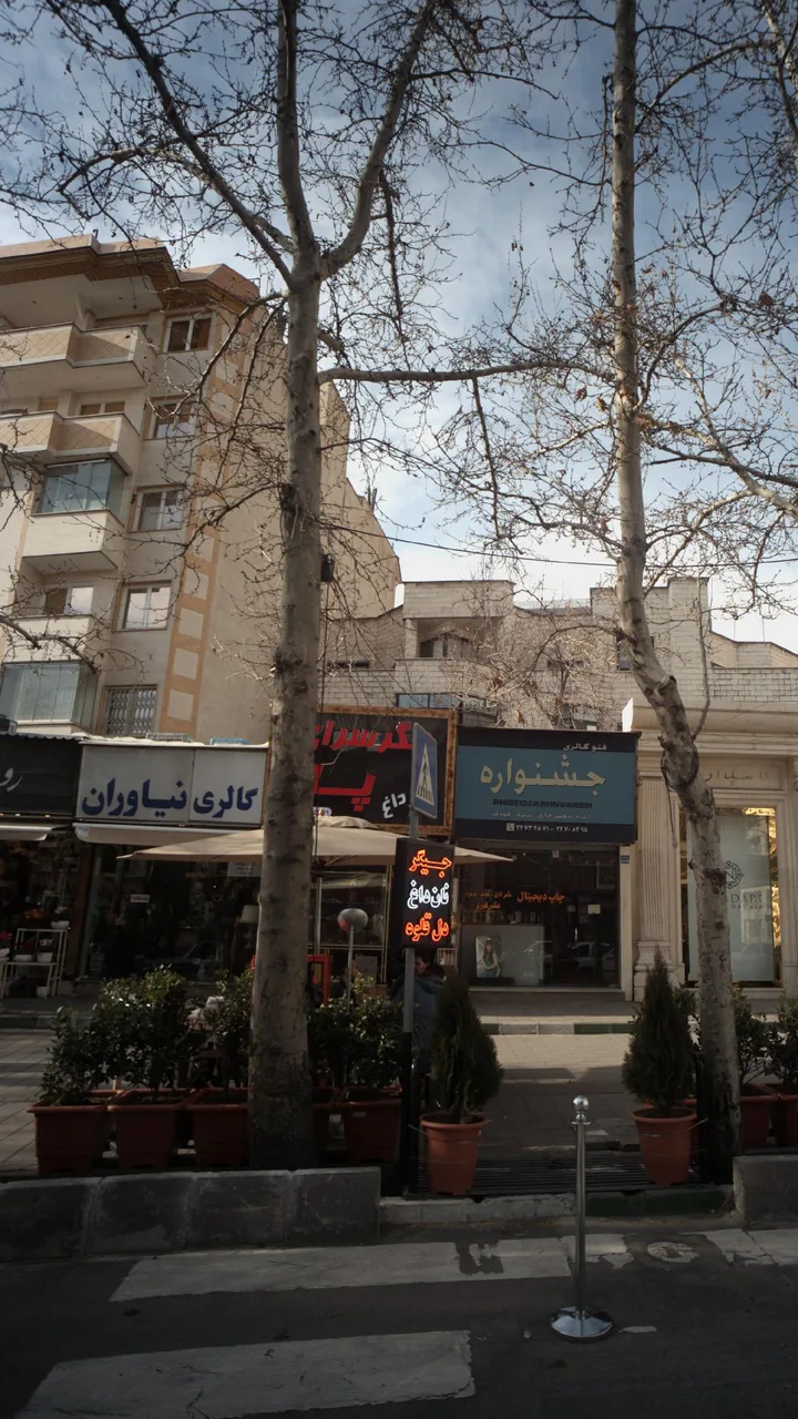 گالری نیاوران - تصویر 2