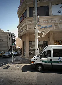 گرنیه