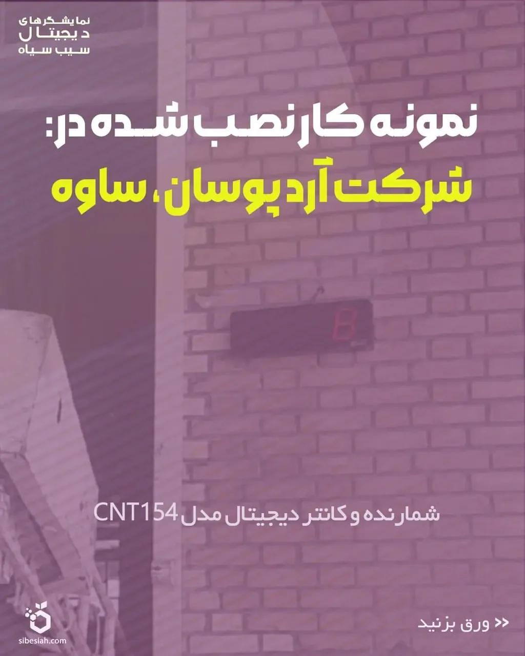 سیب سیاه - تصویر 3