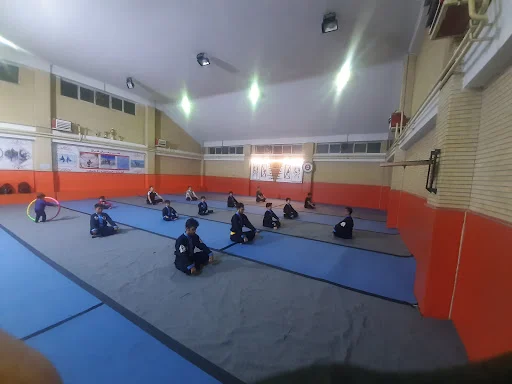 باشگاه رزمی ساعی