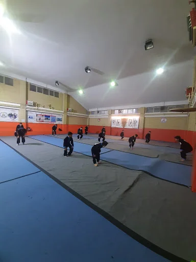 باشگاه رزمی ساعی