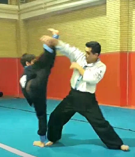 باشگاه رزمی ساعی