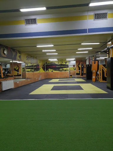 آکادمی کیوکوشین قارتال