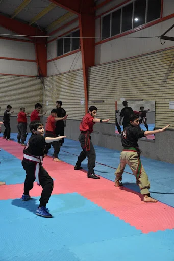 باشگاه فرهنگی ورزشی کنگفو توآ - باشگاه رزمی در تبریز