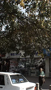 فروشگاه گیاهی