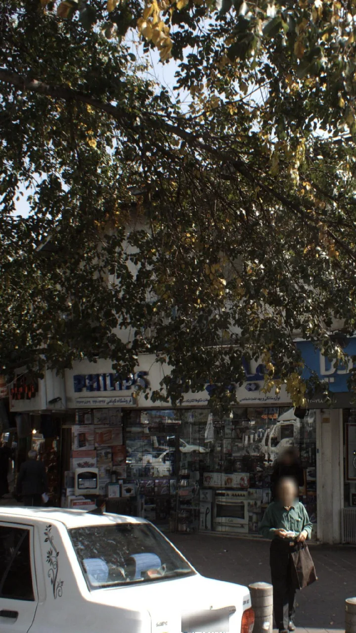 فروشگاه گیاهی