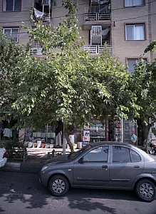 فروشگاه لوازم خانگی