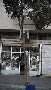 فروشگاه مهدیه