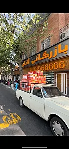 بازرگانی آقای کولر