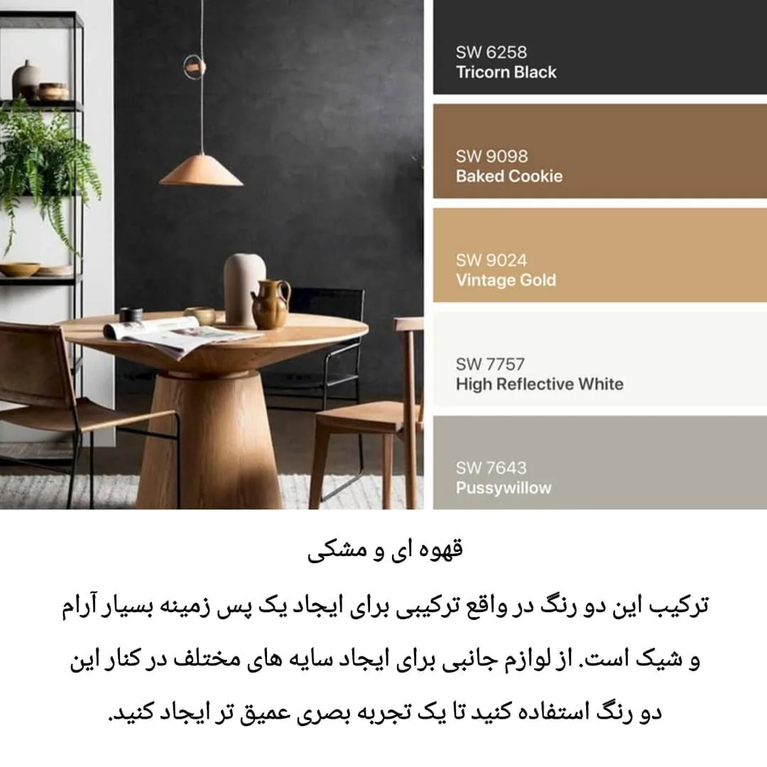 ایمودیزاین - تصویر 3