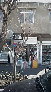 کیش