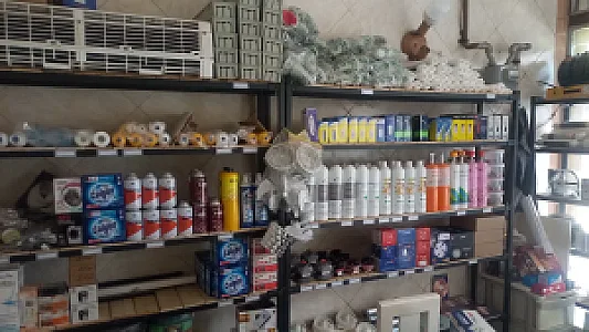 برودت یدک